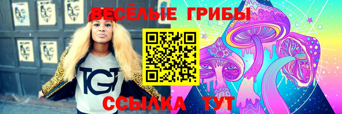 Галлюциногенные грибы Cubensis  Галлюциногенные грибы Psilocybine cubensis  Вход с VPN  Трёхгорный 